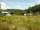 Overzichtsfoto van camping Tenuta Squaneto in Italië