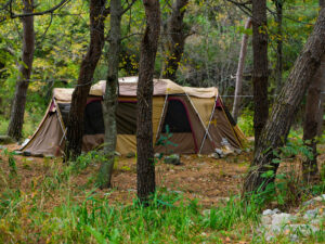 Tent in een herfstbos