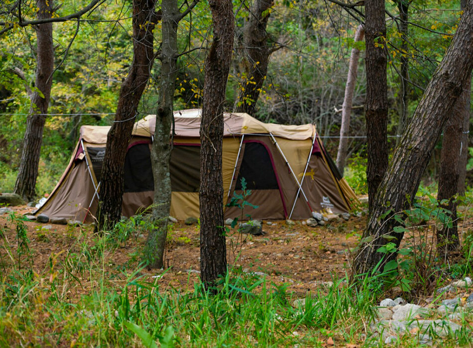 Tent in een herfstbos
