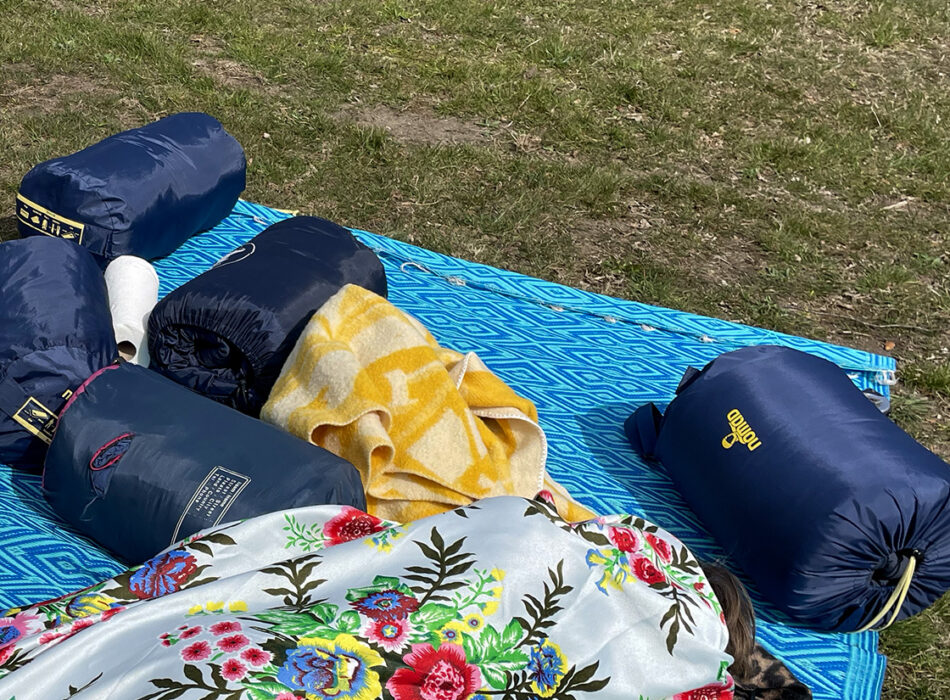 Verschillende slaapzakken in hun hoes op een buitenkleed in het gras