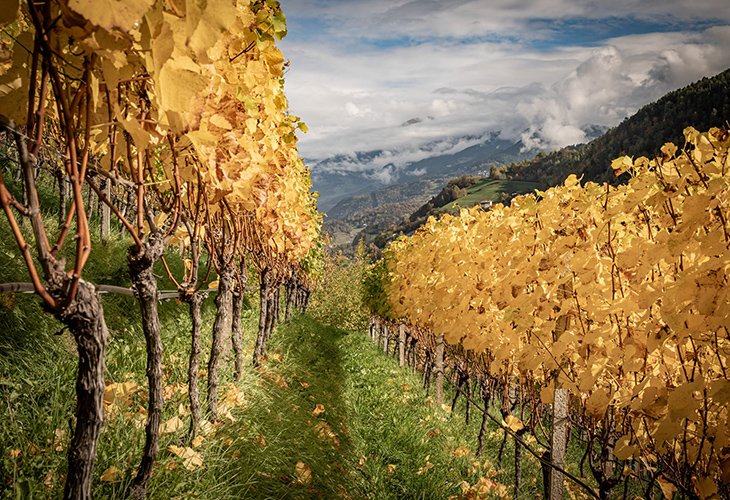 Brixen Südtirol